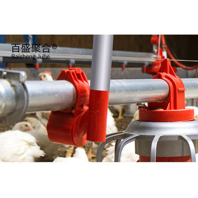 Hot Dip Galvanized C.Z Bentuk Channel Baja Prefabrikasi Rumah Ayam untuk Peternakan Unggas