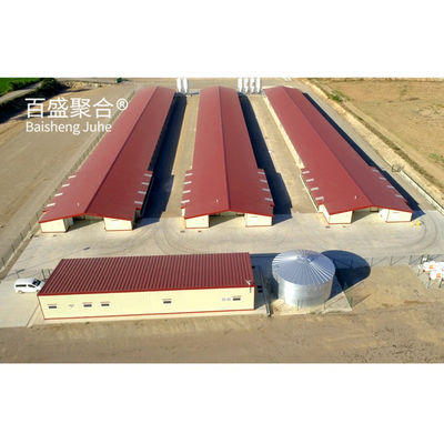 Hot Dip Galvanized C.Z Bentuk Channel Baja Prefabrikasi Rumah Ayam untuk Peternakan Unggas