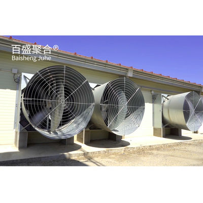 Custom Colors Desain Broiler Komersial Kandang Ayam dengan Automatic Poultry Feeding