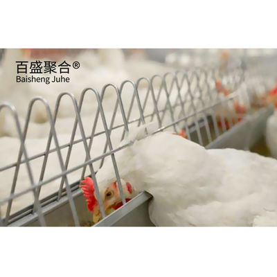 Custom Colors Desain Broiler Komersial Kandang Ayam dengan Automatic Poultry Feeding