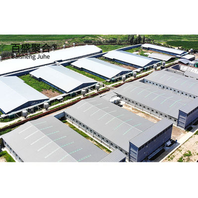Hot Dip Galvanized Steel Structure Rumah Babi Kelas Baja Siap Dibuat Desain Rumah Babi