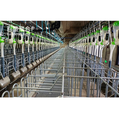 Hot Dip Galvanized/Paint Spraying Steel Structures for Pig Farm Warehouse Frame House (Bangun Baja Untuk Gudang Perkebunan Babi)