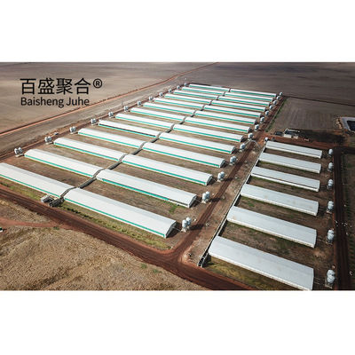 Hot Dip Galvanized/Paint Spraying Steel Structures for Pig Farm Warehouse Frame House (Bangun Baja Untuk Gudang Perkebunan Babi)