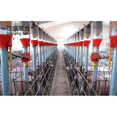 Hot Dip Galvanized/Paint Spraying Steel Structures for Pig Farm Warehouse Frame House (Bangun Baja Untuk Gudang Perkebunan Babi)