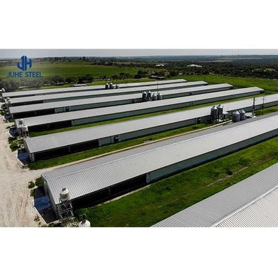 Perlengkapan Peternakan Unggas Baja yang Disesuaikan untuk Desain dan Konstruksi Rumah Ayam