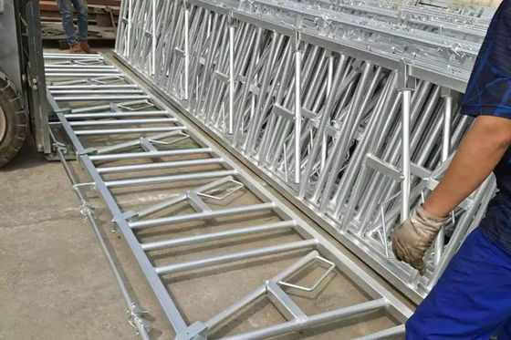 Aluminium Alloy Window Prefabricated Warehouse Farm for Steel Beams Rumah Babi