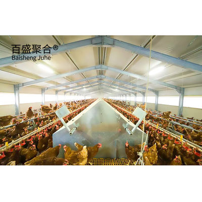 ISO9001 2008/CE/BV bersertifikat Kerangka Baja Peternakan Ayam untuk Lapangan Unggas Sisi Terbuka