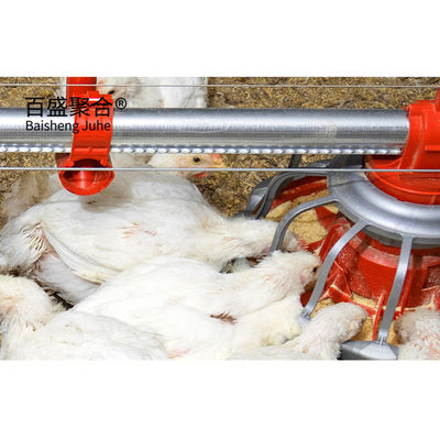 ISO9001 2008/CE/BV bersertifikat Kerangka Baja Peternakan Ayam untuk Lapangan Unggas Sisi Terbuka