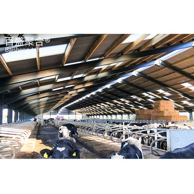 Struktur baja yang dapat disesuaikan untuk pertanian susu Hot Dip Galvanized dan Paint Spraying