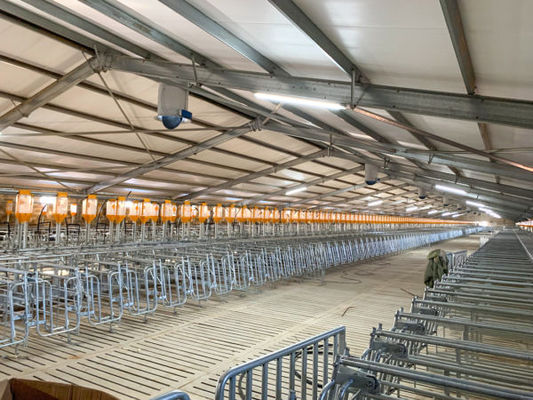Sliding Door Roller Door for Cow Cattle Building and Pig Farm Layer Cages (Pintu Lolos Roller untuk Bangunan Sapi Sapi dan Kandang Lapisan Peternakan Babi)
