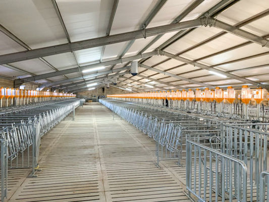 Sliding Door Roller Door for Cow Cattle Building and Pig Farm Layer Cages (Pintu Lolos Roller untuk Bangunan Sapi Sapi dan Kandang Lapisan Peternakan Babi)
