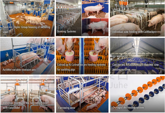 Sliding Door Roller Door for Cow Cattle Building and Pig Farm Layer Cages (Pintu Lolos Roller untuk Bangunan Sapi Sapi dan Kandang Lapisan Peternakan Babi)
