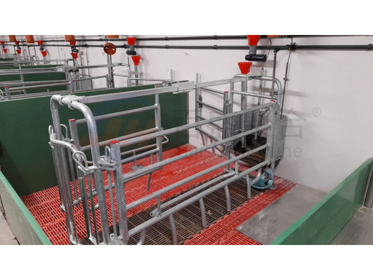 Sliding Door Roller Door for Cow Cattle Building and Pig Farm Layer Cages (Pintu Lolos Roller untuk Bangunan Sapi Sapi dan Kandang Lapisan Peternakan Babi)