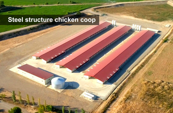 Pertanian Baja Pertanian unggas prefabrikasi Pembangunan dengan kandang ayam dan gudang logam