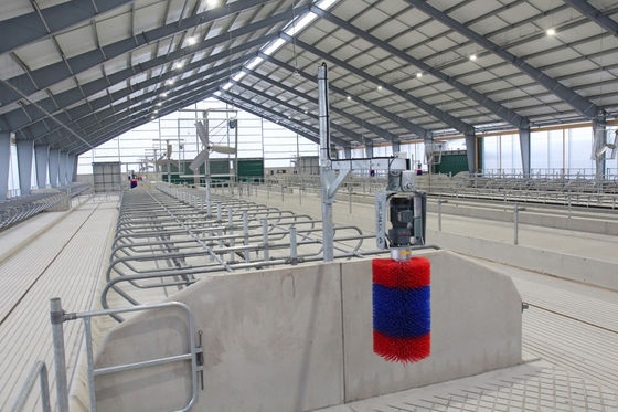 Single Steel Sheet Roofing Wall Customized Horse Stable Construction Building oleh Cina