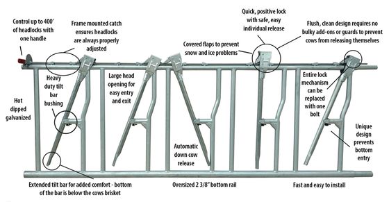 Single Steel Sheet Roofing Wall Customized Horse Stable Construction Building oleh Cina