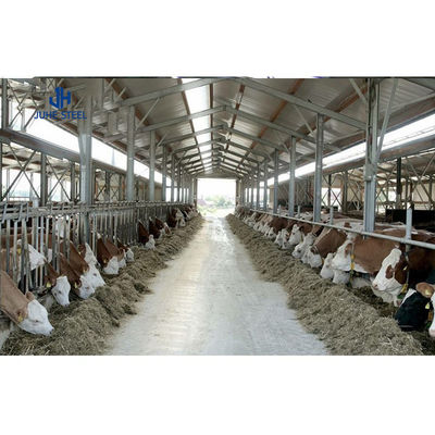 Struktur Baja Ringan Warna Disesuaikan Rumah Perkebunan Kambing Gudang Kambing Pertanian Sapi Konstruksi