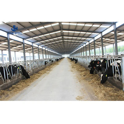 Gudang Kambing Modern Struktur Baja Prefabrikasi Gudang Sapi Peternakan dengan Layanan Las