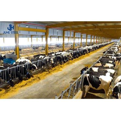 2-10 Meter Tinggi Bangunan Pertanian Sapi Rumah Gudang Sapi Desain dengan Diameter Pipa 60mm