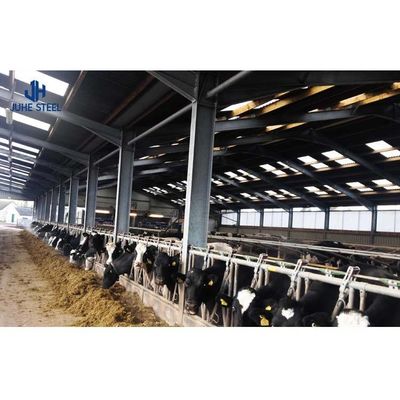 2-10 Meter Tinggi Bangunan Pertanian Sapi Rumah Gudang Sapi Desain dengan Diameter Pipa 60mm