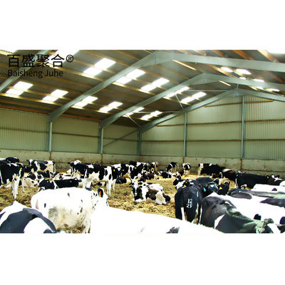 Aluminium Alloy Jendela Struktur Baja untuk Prefab Peternakan Ayam Kuda Stall